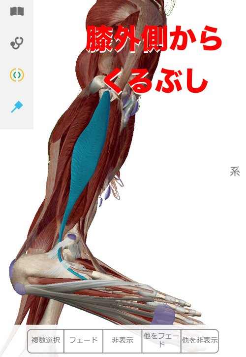 膝の痛みの原因の１つは膝の外側と踝