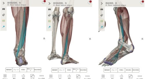 2膝に水がたまり痛い-正座が出来ない-膝の治療方法1