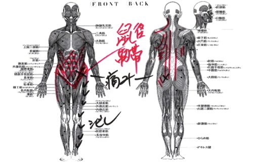ブロック注射も効かない椎間板ヘルニアの腰の痛みと足の痺れを治す1