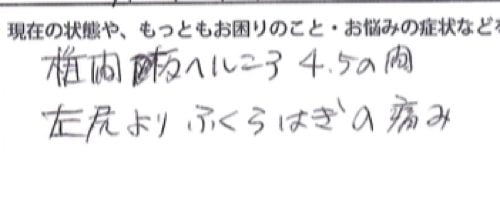 椎間板ヘルニア-腰の痛みと足のシビレを治す整体9