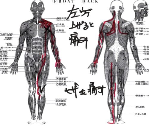 腕が痛くて上がらない四十肩の治し方6