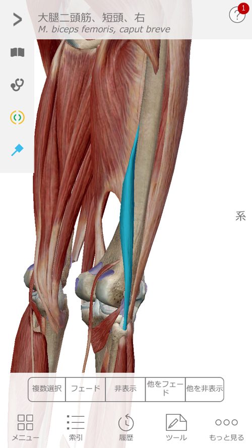 すべり症-腰の痛みと足のシビレの治療1