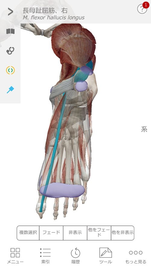 すべり症-腰の痛みと足のシビレの治療3