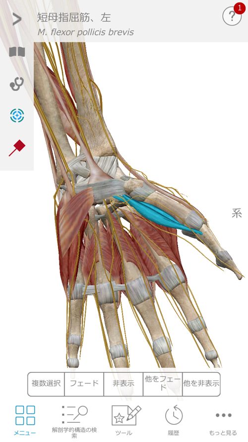 すべり症-腰の痛みと足のシビレの治療a1