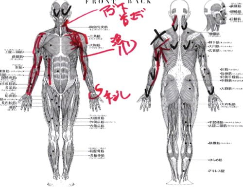 肩が痛くて夜も眠れない五十肩の原因と治療方法2