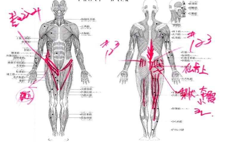 ぎっくり腰-治療-すぐに治る広島の腰痛専門整体院の実例15