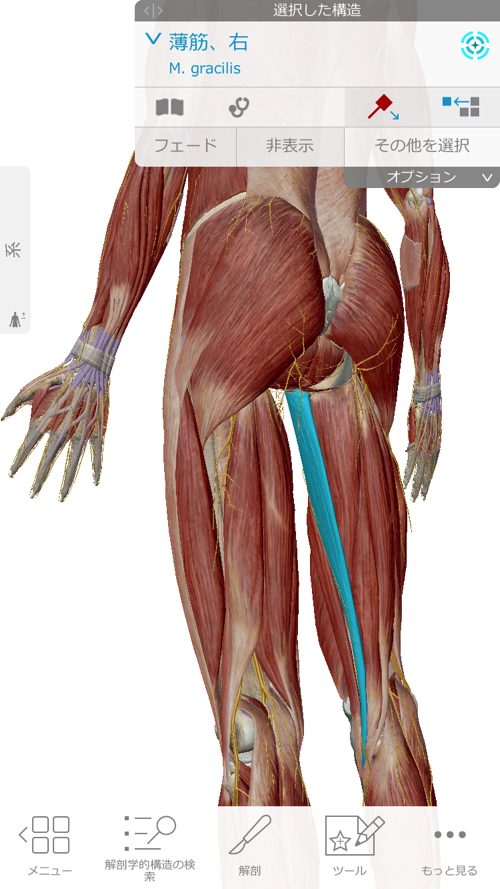 ぎっくり腰-治療-すぐに治る広島の腰痛専門整体院の実例2