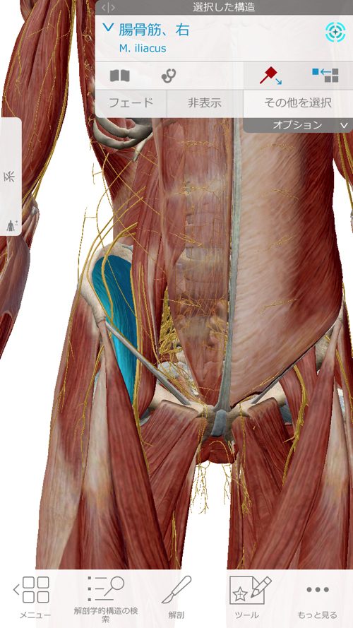 ぎっくり腰-治療-すぐに治る広島の腰痛専門整体院の実例6