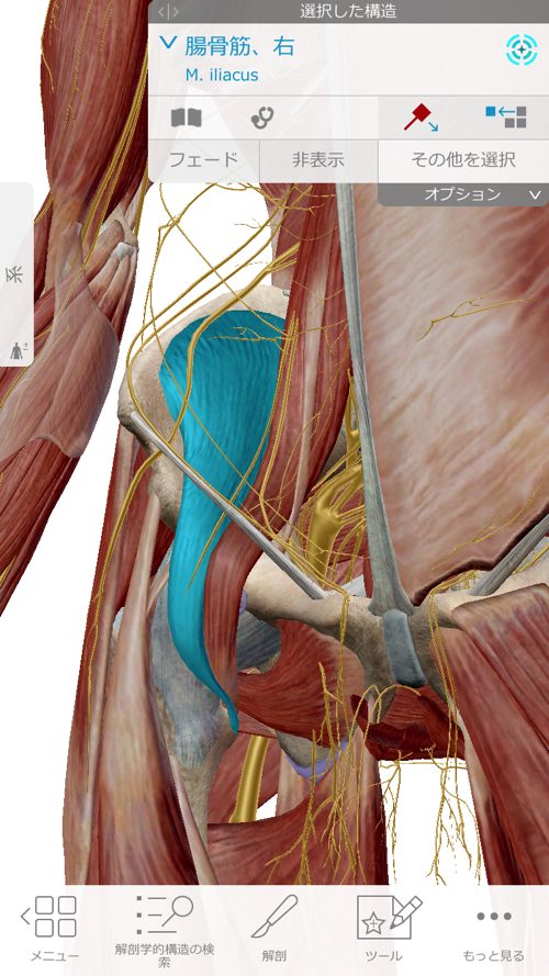 ぎっくり腰-治療-すぐに治る広島の腰痛専門整体院の実例8