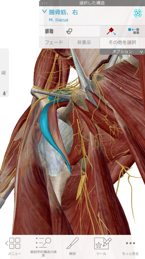 ぎっくり腰-治療-すぐに治る広島の腰痛専門整体院の実例9