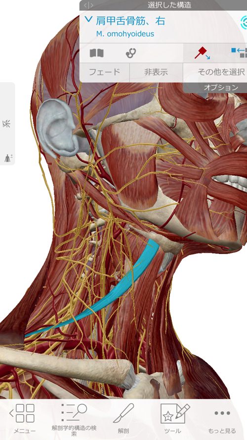 広島-四十肩・五十肩の治療で有名な整体院-治った例2
