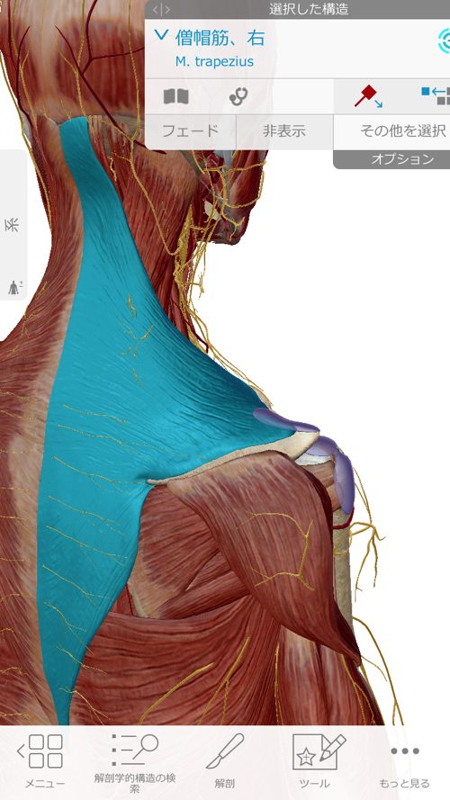広島-四十肩・五十肩の治療で有名な整体院-治った例3