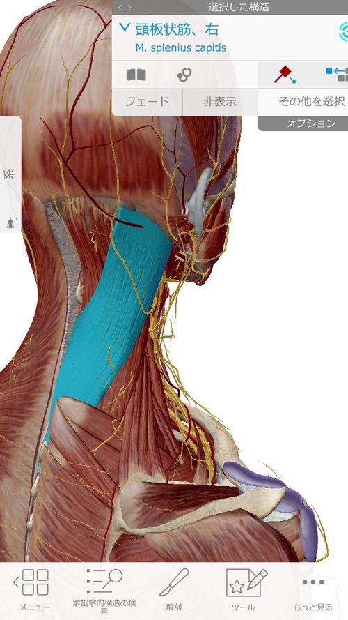 広島-四十肩・五十肩の治療で有名な整体院-治った例4