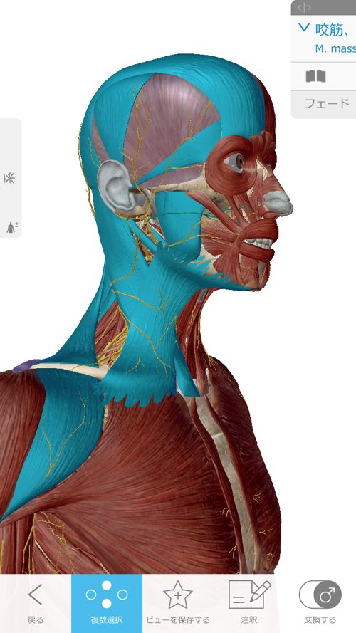 広島-四十肩・五十肩の治療で有名な整体院-治った例8