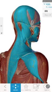 広島-四十肩・五十肩の治療で有名な整体院-治った例9