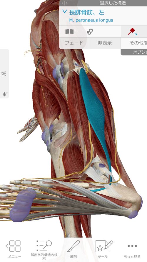 広島「ぎっくり腰」がすぐに治る治療で有名な整体院の治った例0926a-5