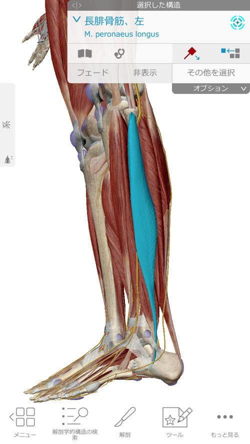 広島「ぎっくり腰」がすぐに治る治療で有名な整体院の治った例0926a-7