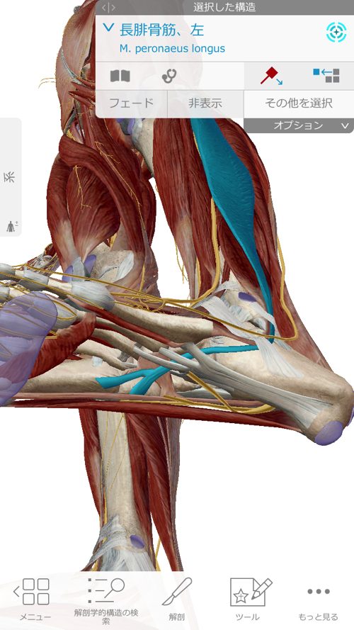 広島「ぎっくり腰」がすぐに治る治療で有名な整体院の治った例0926a-8