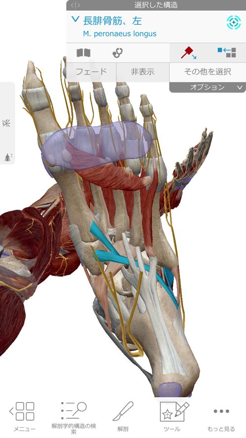 広島「ぎっくり腰」がすぐに治る治療で有名な整体院の治った例0926a-9