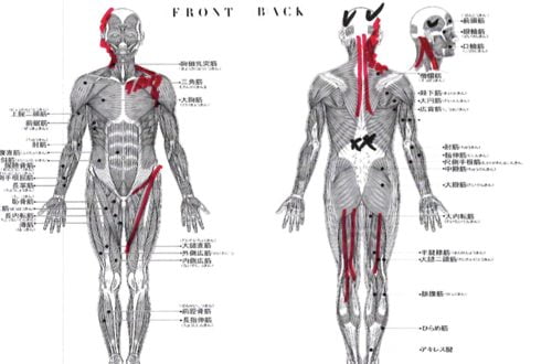 頭痛外来-偏頭痛と腰痛の治療-頭痛解消に効くヘッドマッサージ-広島2