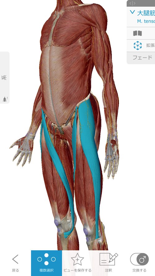 ヘルニアと診断され神経ブロックもリハビリも効果なかったが整体で治った例_広島