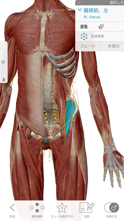 ヘルニアと診断され神経ブロックもリハビリも効果なかったが整体で治った例_広島