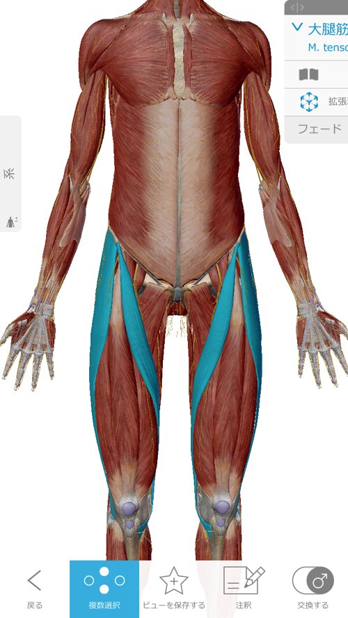 ヘルニアと診断され神経ブロックもリハビリも効果なかったが整体で治った例_広島