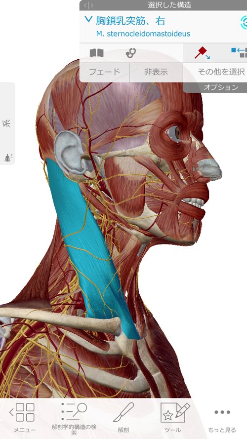 広島で偏頭痛の治療_肩から首と頭が痛い_薬を使わず治すヘッドマッサージ_ドライヘッドスパ