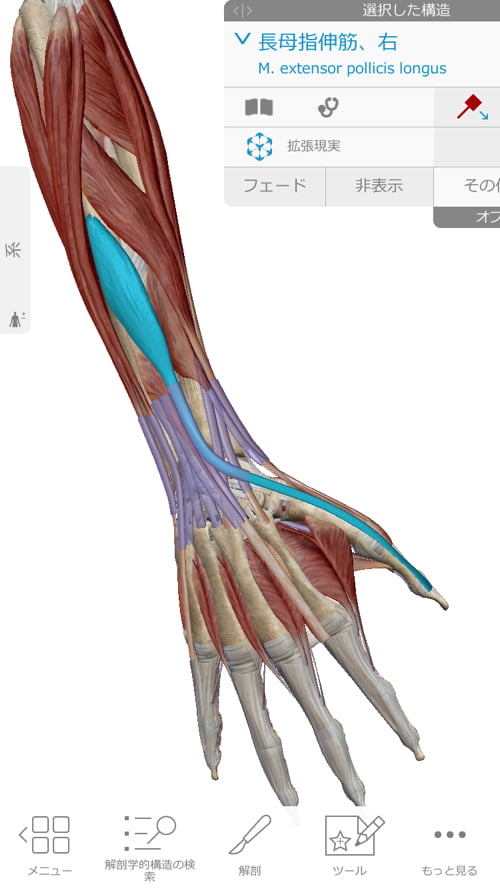 治らない四十肩の原因と治療方法-広島で四十肩を治す専門技術の整体院