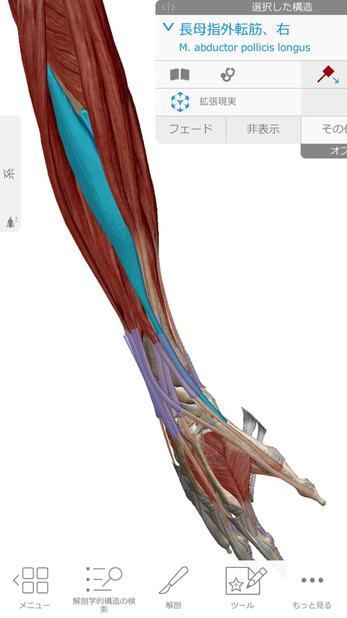 治らない四十肩の原因と治療方法-広島で四十肩を治す専門技術の整体院