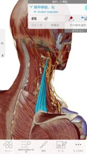 産後鬱と不眠症の治療1首の硬直を解く③
