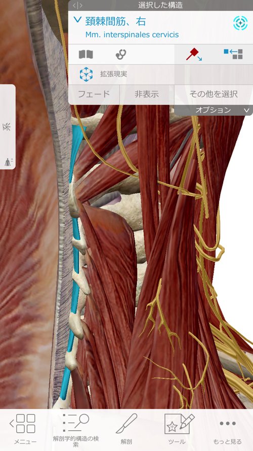 広島で偏頭痛や緊張型頭痛の痛み治療のヘッドマッサージ1