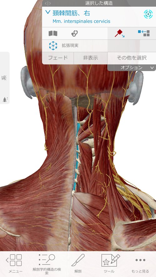 広島で偏頭痛や緊張型頭痛の痛み治療のヘッドマッサージ2