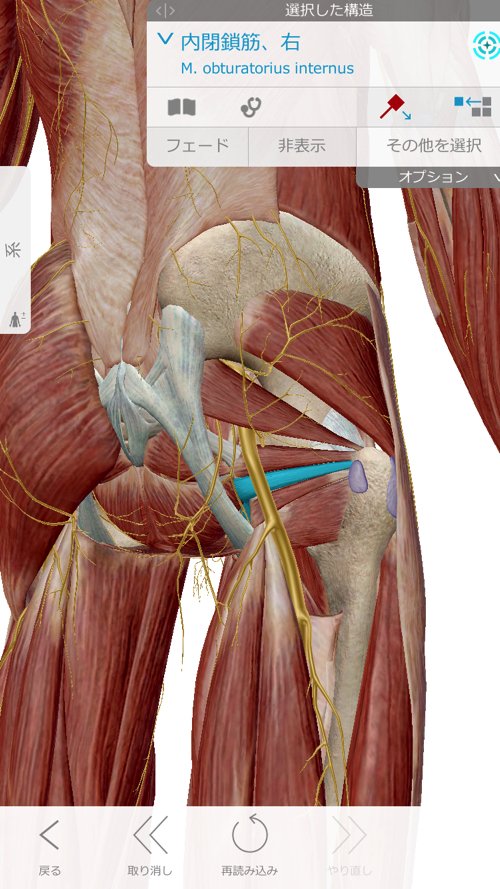 広島_神経ブロック注射が効かないヘルニアの治療14