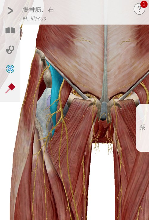 広島_神経ブロック注射が効かないヘルニアの治療15