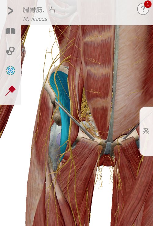 広島_神経ブロック注射が効かないヘルニアの治療16