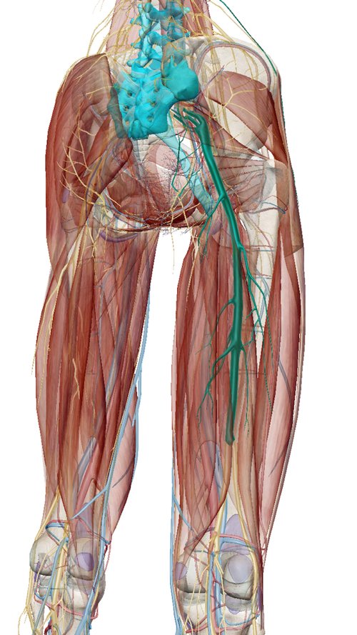 広島で腰痛治療専門の整体院の改善記録2