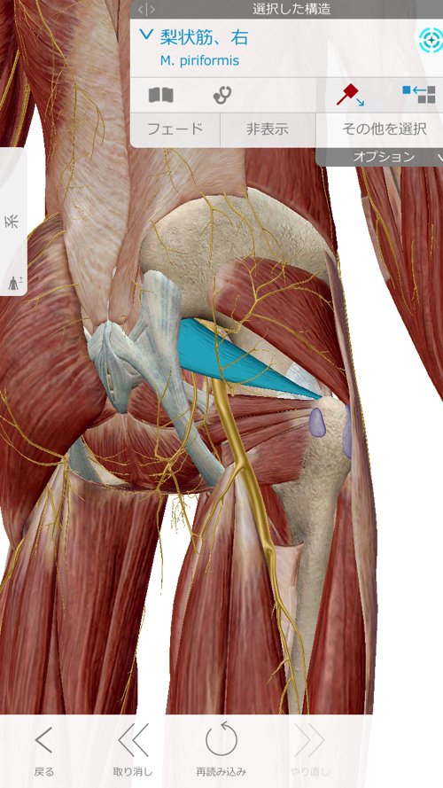 広島で腰痛治療専門の整体院の改善記録3