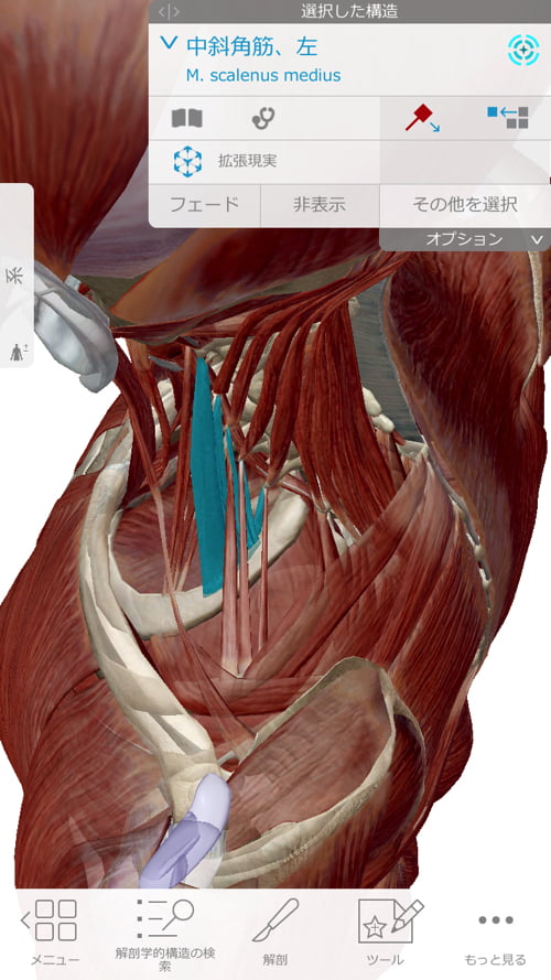 頚椎ヘルニアで指の痺れ原因と治療方法8