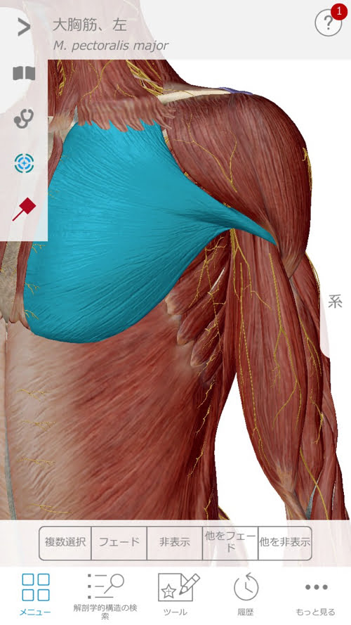 頚椎ヘルニアで指の痺れ原因と治療方法9