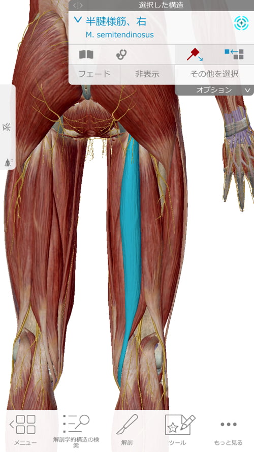 転んだ後足の付根が痛くて歩けなくなったお客様の改善例5