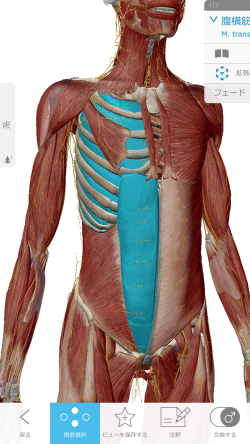 転んだ後足の付根が痛くて歩けなくなったお客様の改善例8