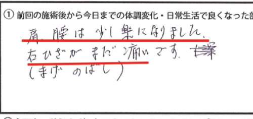 脊椎分離すべり症の腰の痛みの原因と治療方法13