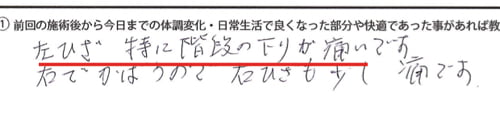 脊椎分離すべり症の腰の痛みの原因と治療方法14