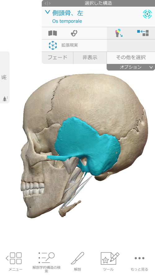 後頭部がデコボコに 頭の重み痛みの原因と解消法 整体広島眞田流
