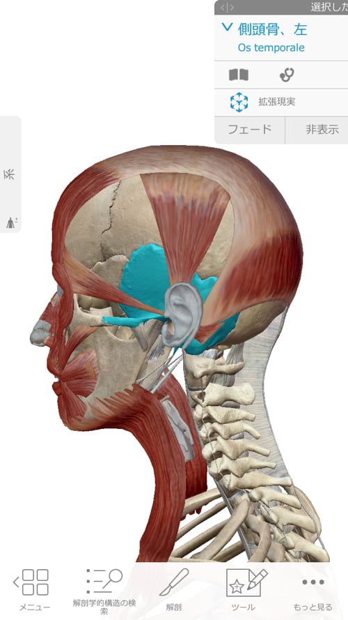 後頭部がデコボコに 頭の重み痛みの原因と解消法 整体広島眞田流
