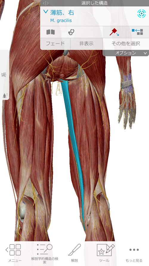 ぎっくり腰_ヘルニアが再発する理由と治療方法