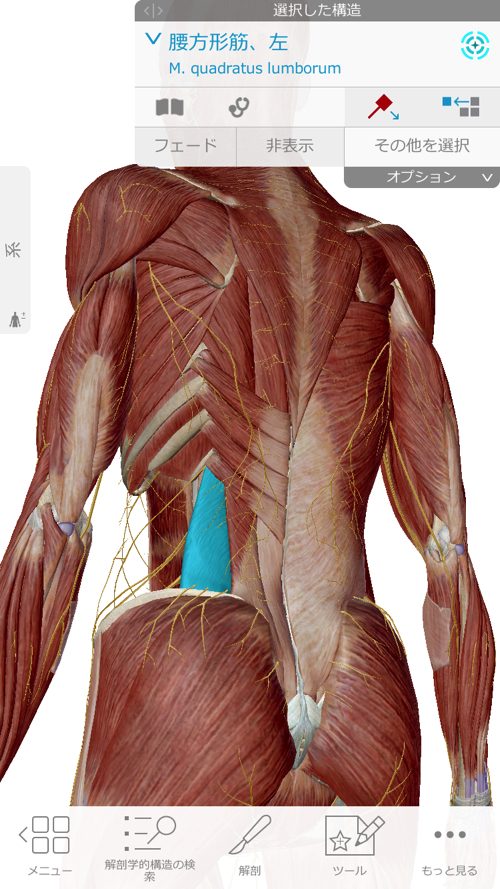 くしゃみで「ぎっくり腰」になった際の治療-広島で腰痛-ぎっくり腰の治療で有名な整体広島眞田流の実例1