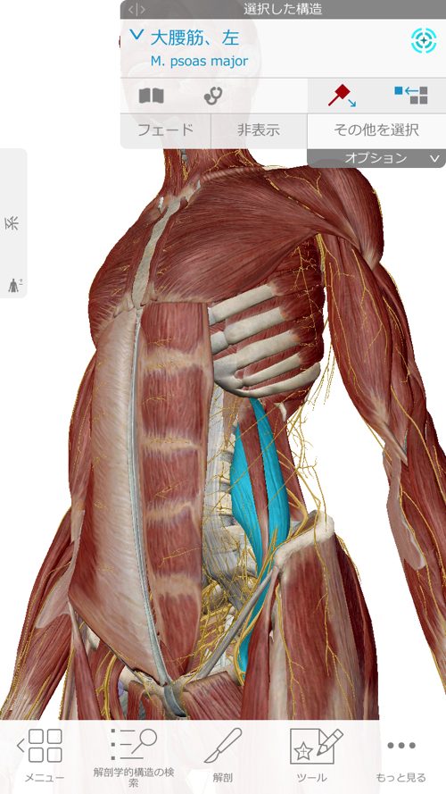 くしゃみで「ぎっくり腰」になった際の治療-広島で腰痛-ぎっくり腰の治療で有名な整体広島眞田流の実例2