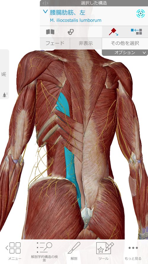 くしゃみで「ぎっくり腰」になった際の治療-広島で腰痛-ぎっくり腰の治療で有名な整体広島眞田流の実例3
